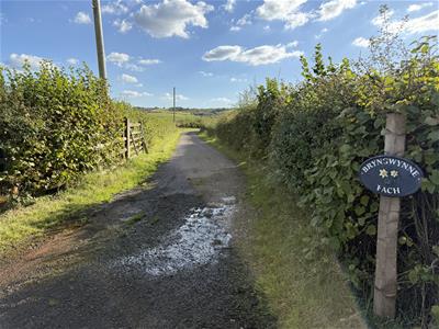Picture 34
